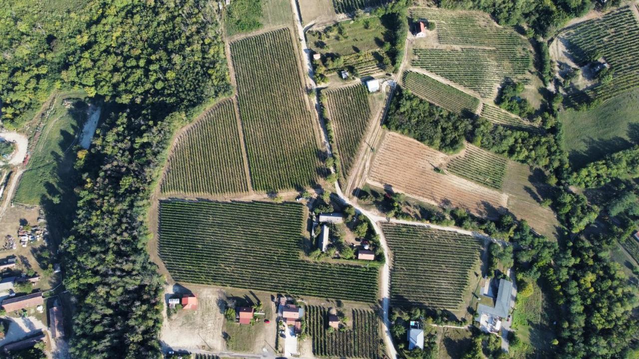 Lelle Vineyard Cottages Balatonlelle Exterior foto